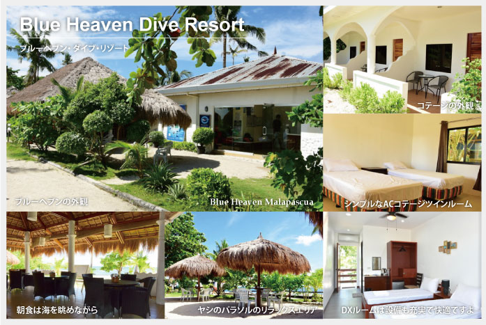 blue-heaven-dive-resort.jpg