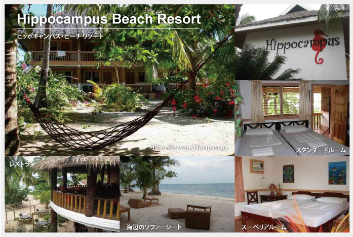 Hippocampus Beach Resort